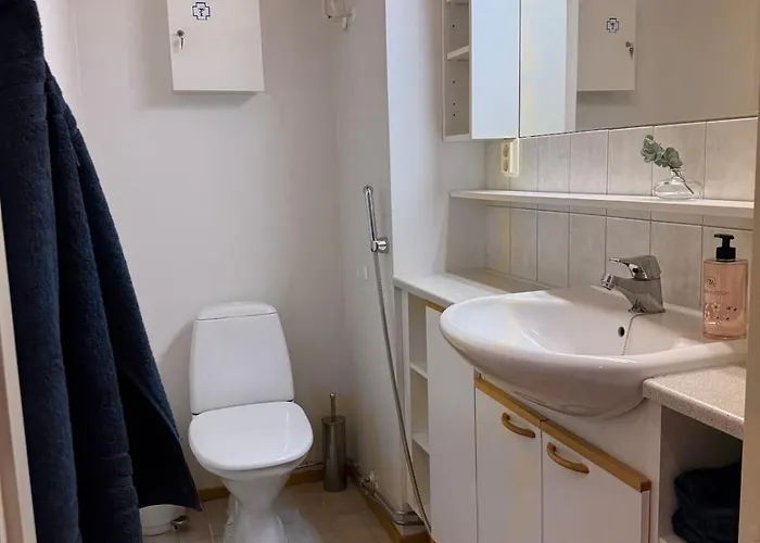 Spacious With Sauna By The River *